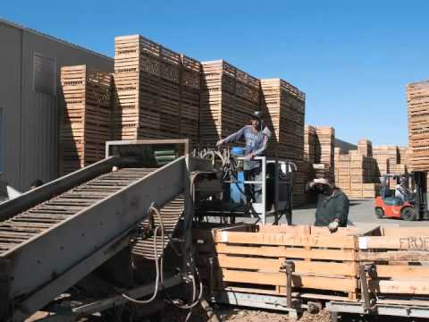 What is common sense farming?